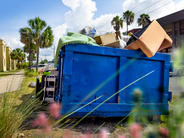 Best Electronics Removal Services  in Matteson, IL